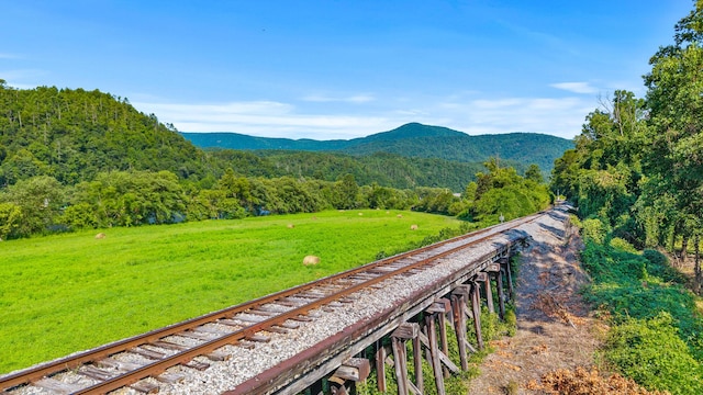 101 Riverview Ln, Reliance, TN 37369 - view of mountain background featuring a heavily wooded area