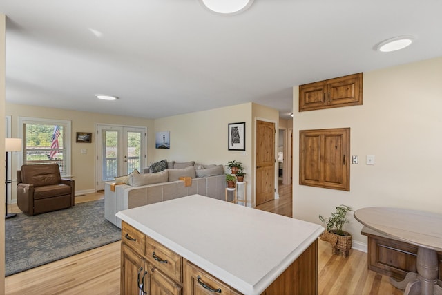 101 Riverview Ln, Reliance, TN 37369 - kitchen with light wood finished floors, open floor plan, and light countertops