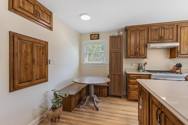 101 Riverview Ln, Reliance, TN 37369 - kitchen with under cabinet range hood, range with gas cooktop, light wood-style flooring, light countertops, and brown cabinets