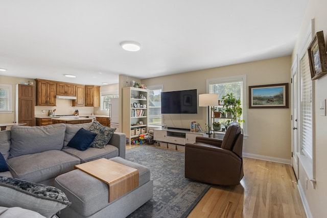 101 Riverview Ln, Reliance, TN 37369 - living area featuring light wood-type flooring and recessed lighting