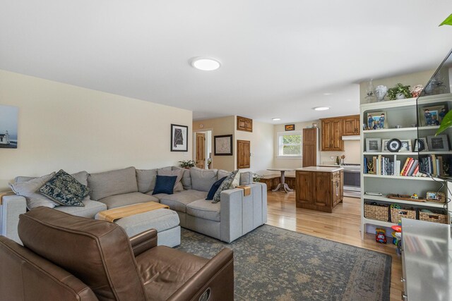 101 Riverview Ln, Reliance, TN 37369 - living area featuring light wood-type flooring