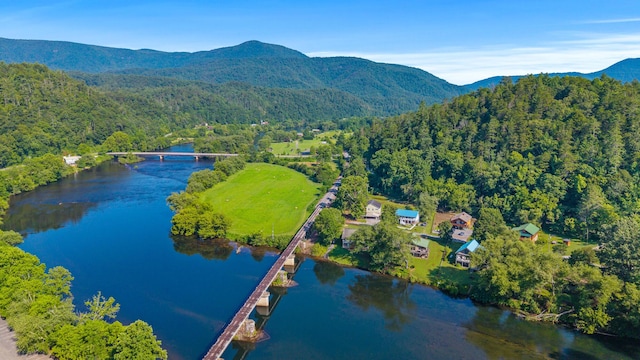 101 Riverview Ln, Reliance, TN 37369 - aerial view of a water and mountain view and a forest