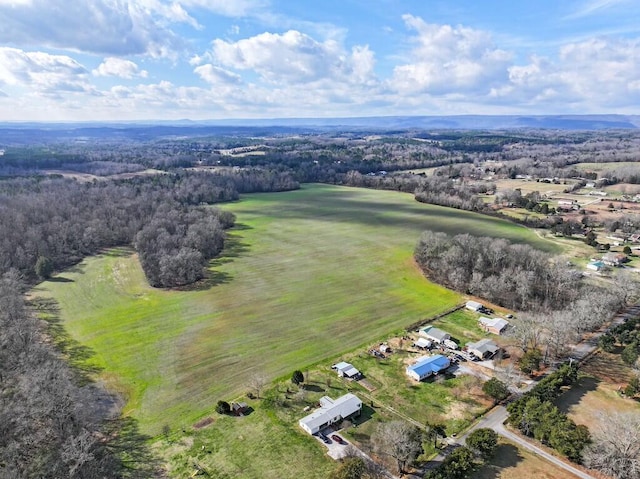 00 Old Dixie Hwy, Spring City, TN 37381 - photo 4