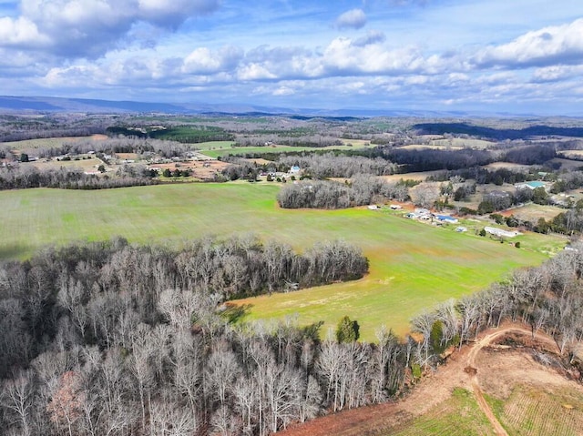 00 Old Dixie Hwy, Spring City, TN 37381 - photo 6