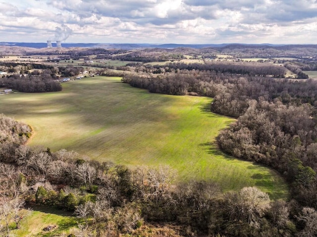 00 Old Dixie Hwy, Spring City, TN 37381 - photo 11