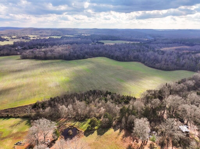 00 Old Dixie Hwy, Spring City, TN 37381 - photo 13