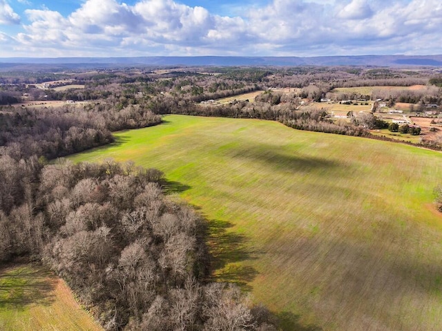 00 Old Dixie Hwy, Spring City, TN 37381 - photo 14
