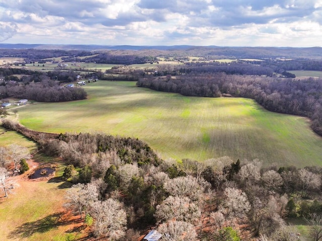 00 Old Dixie Hwy, Spring City, TN 37381 - photo 12