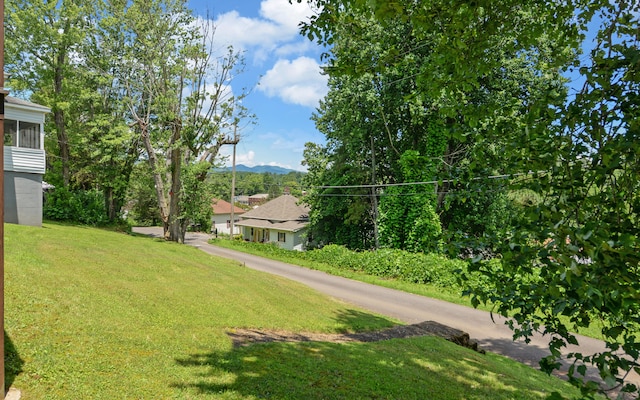 123 College St, Ducktown, TN 37326 - photo 33
