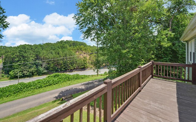 123 College St, Ducktown, TN 37326 - photo 24