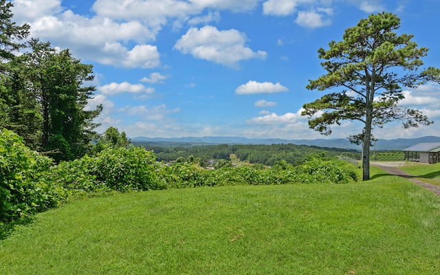 123 College St, Ducktown, TN 37326 - photo 35
