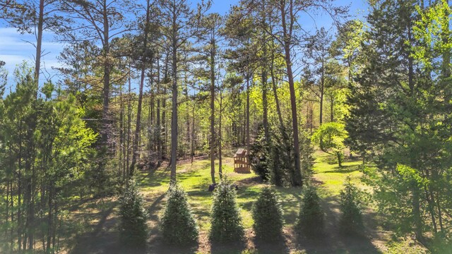 589 Johnston Rd, Mcdonald, TN 37353 - photo 72