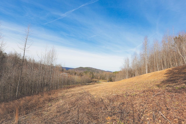 1094 Rhea County Hwy, Dayton TN, 37321 land for sale