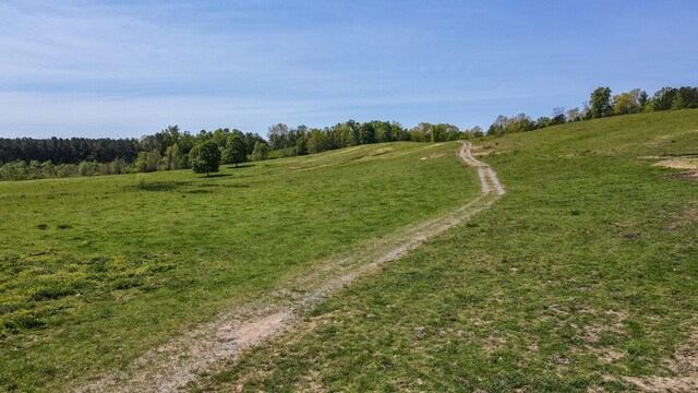 137.6AC Melton Rd SE, Old Fort, TN 37362 - photo 13