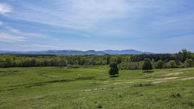 137.6AC Melton Rd SE, Old Fort, TN 37362 - photo 8