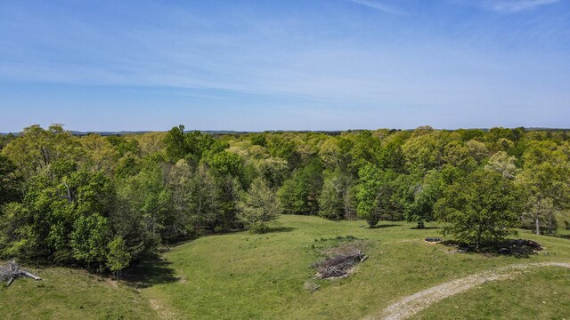 137.6AC Melton Rd SE, Old Fort, TN 37362 - photo 27