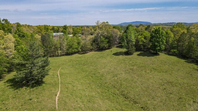 137.6AC Melton Rd SE, Old Fort, TN 37362 - photo 18