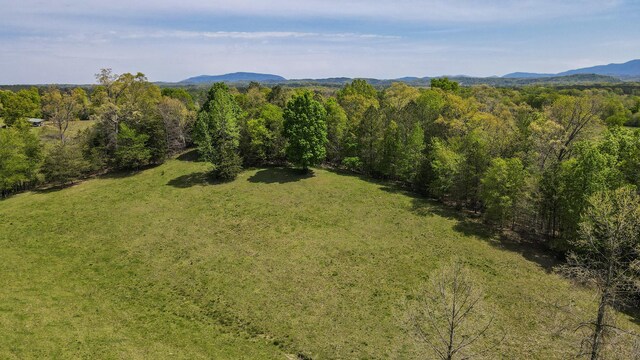 137.6AC Melton Rd SE, Old Fort, TN 37362 - photo 17