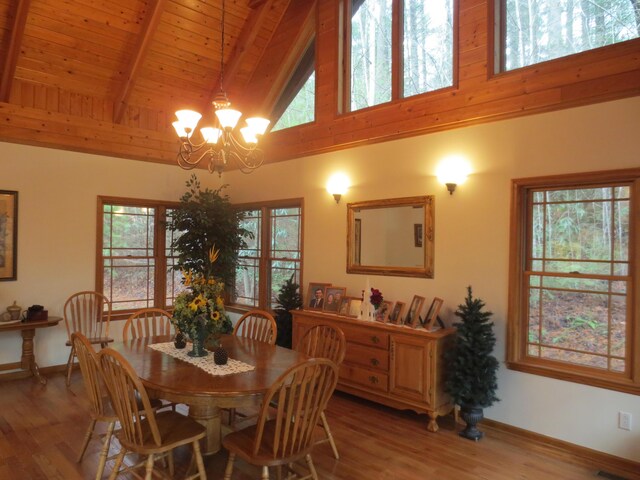 1536 Turkey Creek Rd, Tellico Plains, TN 37385 - photo 12