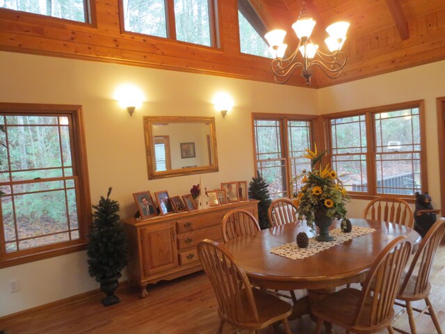 1536 Turkey Creek Rd, Tellico Plains, TN 37385 - photo 13