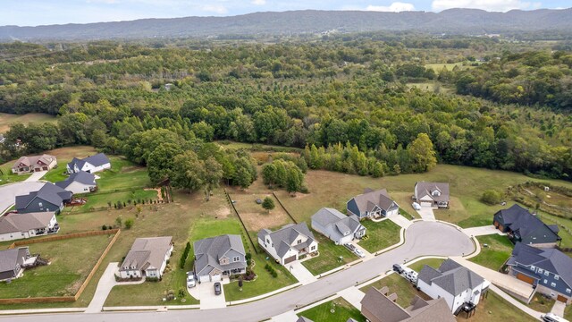 birds eye view of property featuring a mountain view