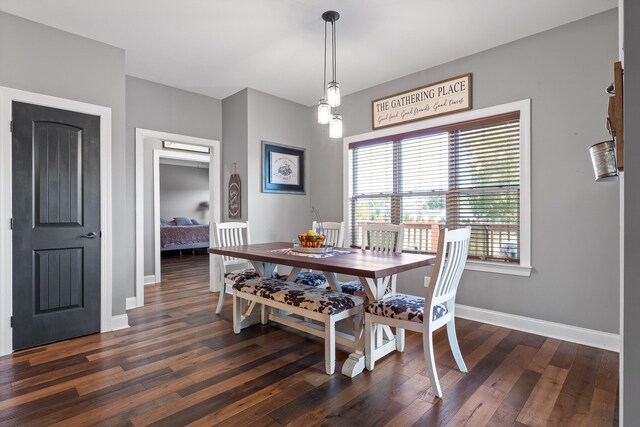 dining area featuring dark hardwood / wood-style flooring