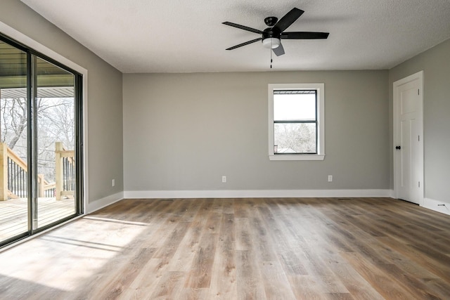 empty room featuring ceiling fan, a wealth of natural light, a textured ceiling, and light wood-type flooring