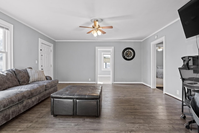 living room featuring crown molding, dark wood-type flooring, and ceiling fan