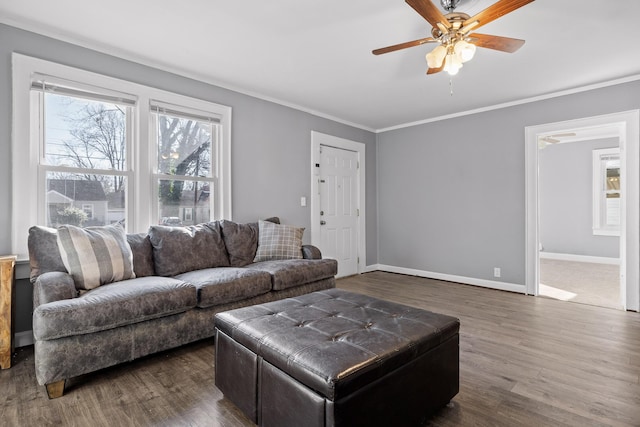 living room featuring dark wood-type flooring, ceiling fan, and crown molding