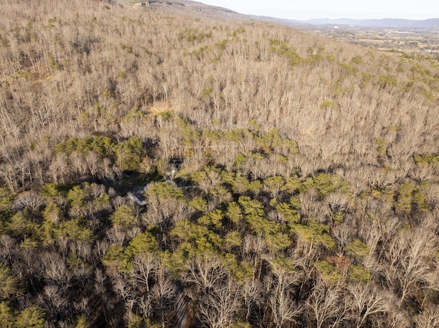 drone / aerial view with a mountain view