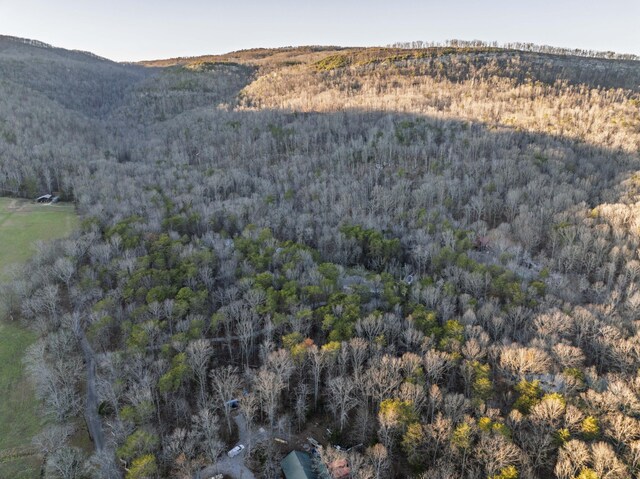 view of mountain feature