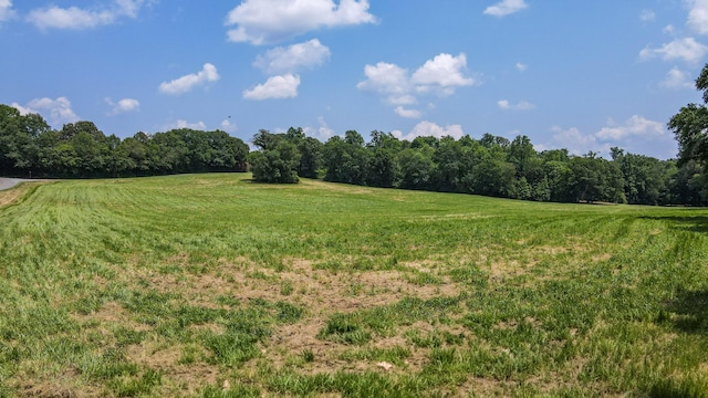 238 Bishop Rd, Benton, TN 37307
