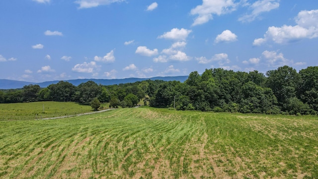 238 Bishop Rd, Benton, TN 37307