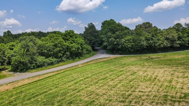 238 Bishop Rd, Benton, TN 37307