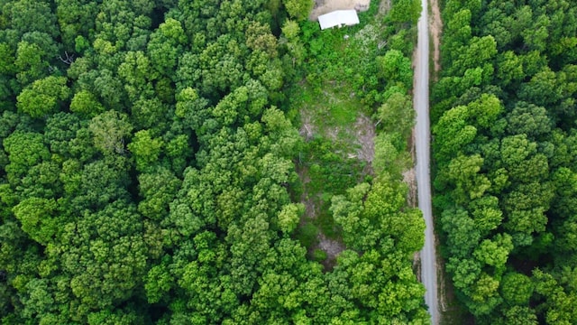 5.21ACRES Browns Holler Rd, Spring City, TN 37381 - photo 12