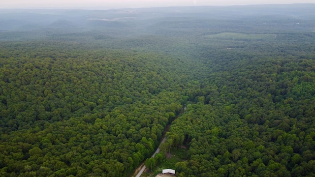 5.21ACRES Browns Holler Rd, Spring City, TN 37381 - photo 4