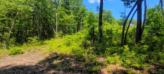 5.21ACRES Browns Holler Rd, Spring City, TN 37381 - photo 2
