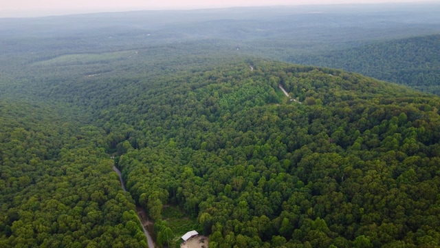 5.21ACRES Browns Holler Rd, Spring City, TN 37381 - photo 7