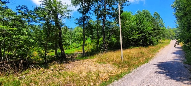 5.21ACRES Browns Holler Rd, Spring City, TN 37381 - photo 11