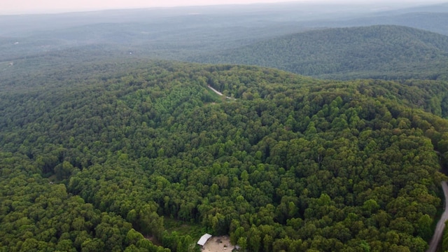 5.21ACRES Browns Holler Rd, Spring City, TN 37381 - photo 1