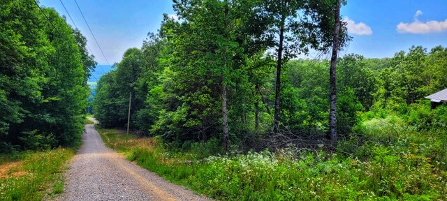 5.21ACRES Browns Holler Rd, Spring City, TN 37381 - photo 10