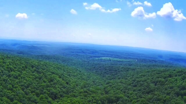 5.21ACRES Browns Holler Rd, Spring City, TN 37381 - photo 8