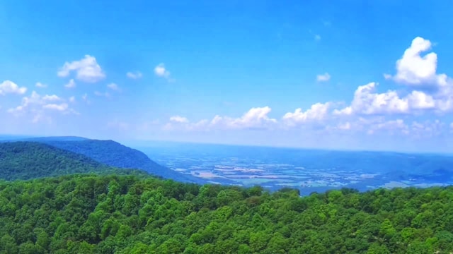 5.21ACRES Browns Holler Rd, Spring City, TN 37381 - photo 6