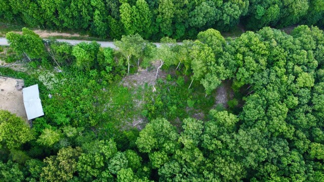 5.21ACRES Browns Holler Rd, Spring City, TN 37381 - photo 14