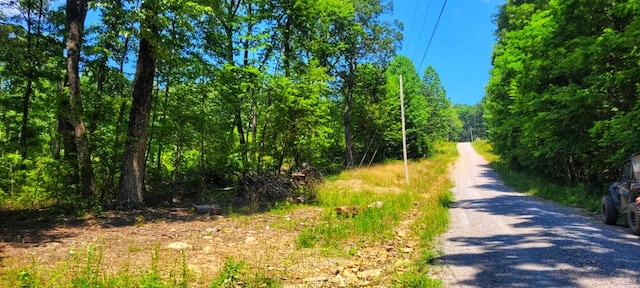 5.21ACRES Browns Holler Rd, Spring City, TN 37381 - photo 9