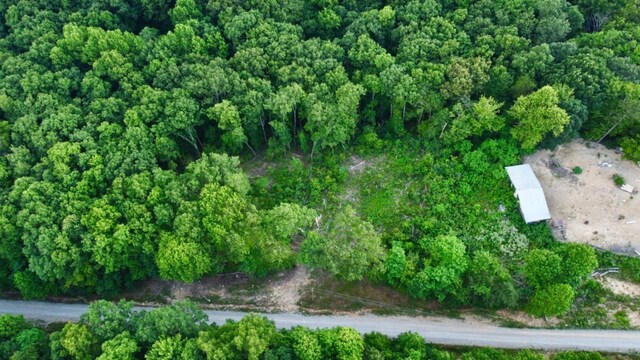 5.21ACRES Browns Holler Rd, Spring City, TN 37381 - photo 13