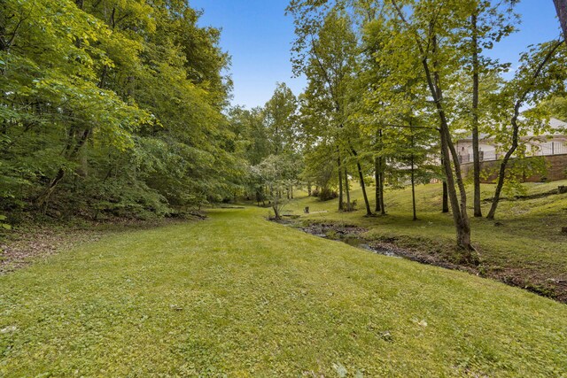 1720 Wood Creek Cir, Athens, TN 37303 - photo 73