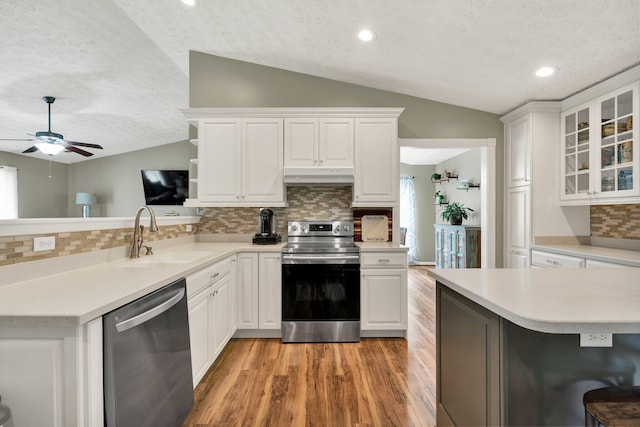 kitchen with under cabinet range hood, a sink, vaulted ceiling, and stainless steel appliances