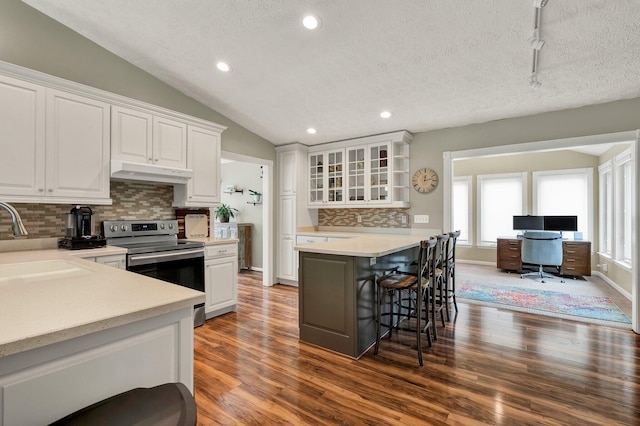 kitchen featuring stainless steel electric range oven, a sink, a breakfast bar, under cabinet range hood, and vaulted ceiling