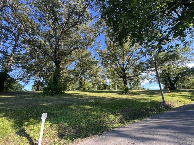 201 S Facy St, Rockwood, TN 37854 - view of green lawn